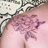 Carnation and hummingbird fine line tattoo