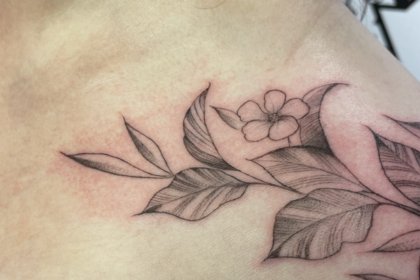 Fine Line Foliage Collar Bone Tattoo